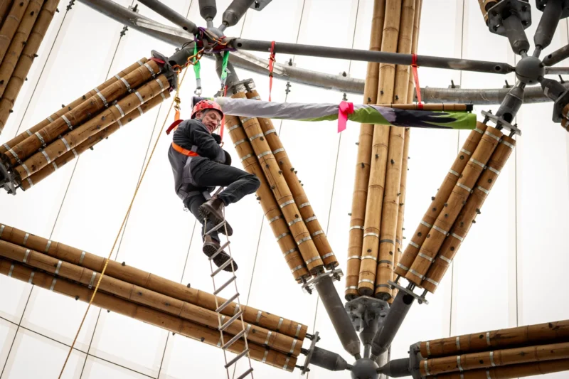 Inauguration of Finished Guadua Bamboo Tower for Zoo in Belgium