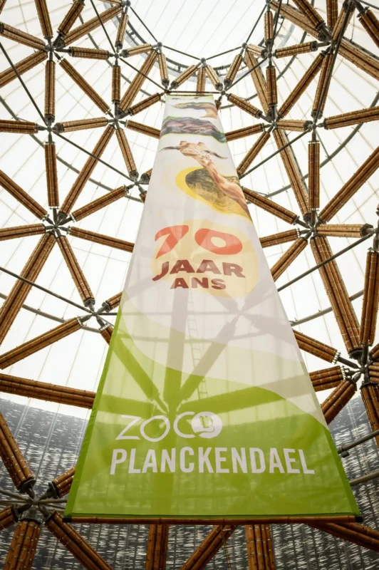 Inauguration of Finished Guadua Bamboo Tower for Zoo in Belgium