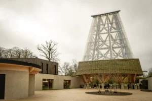 Guadua Bamboo Tower for Zoo in Belgium: Europe’s Largest Structural Bamboo Building