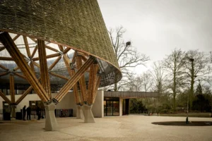Guadua Bamboo Tower for Zoo in Belgium: Europe’s Largest Structural Bamboo Building