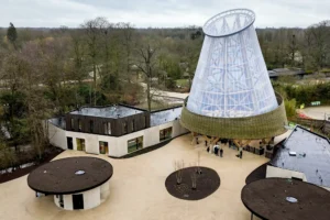 Guadua Bamboo Tower for Zoo in Belgium: Europe’s Largest Structural Bamboo Building