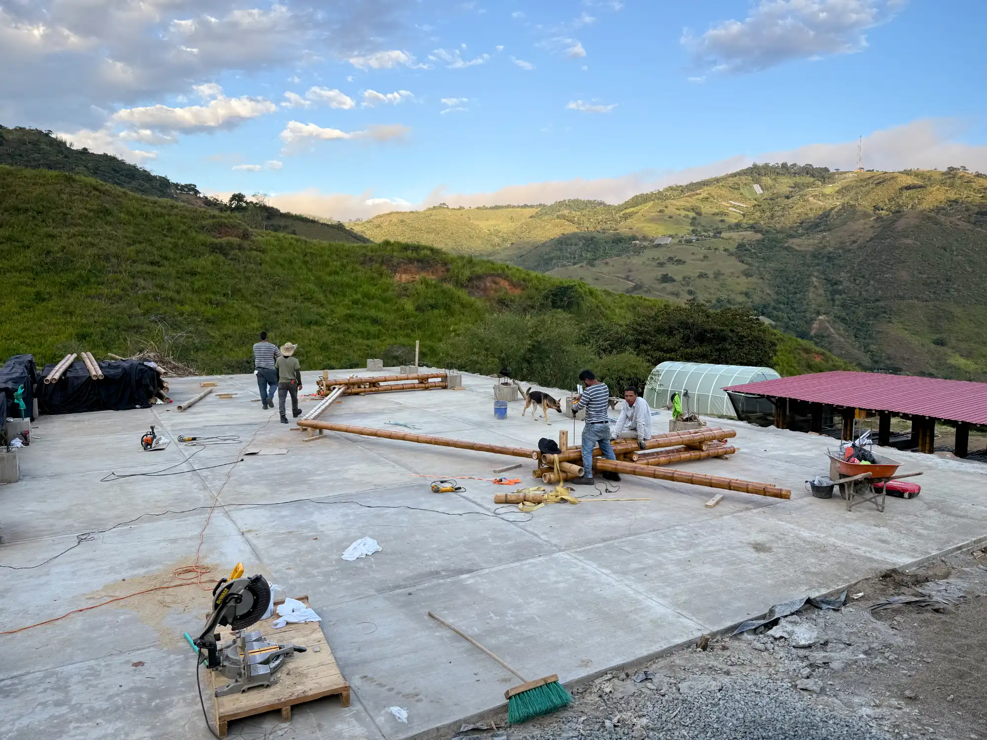 Assembly of prefabricated guadua trusses
