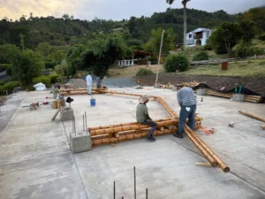 Assembly of prefabricated guadua trusses