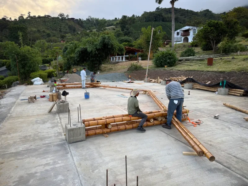 Assembly of prefabricated guadua trusses