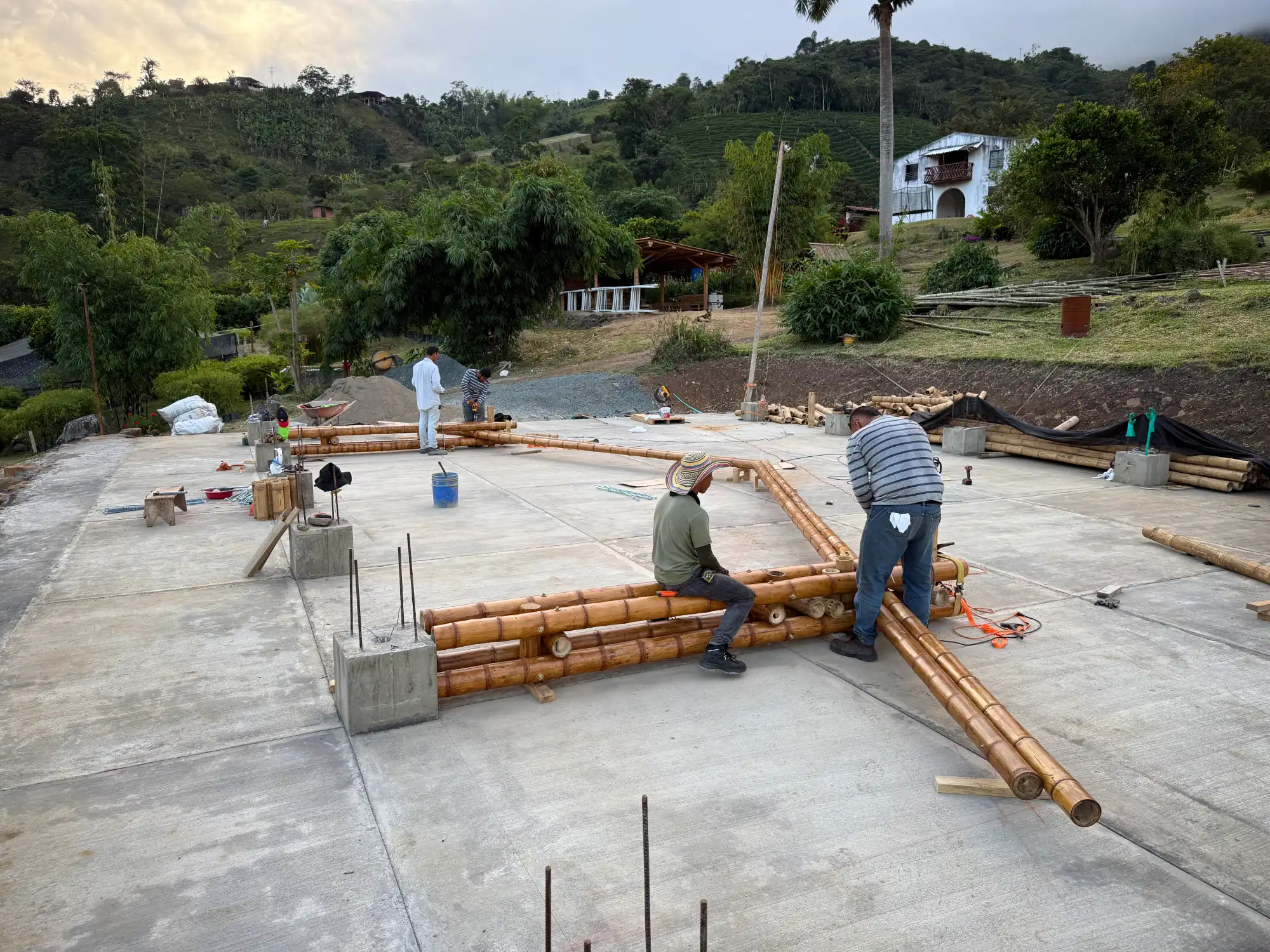 Assembly of prefabricated guadua trusses