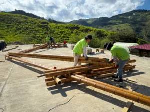 Assembly of prefabricated guadua trusses