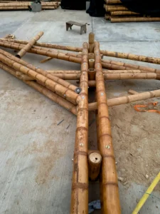 Assembly of prefabricated guadua trusses