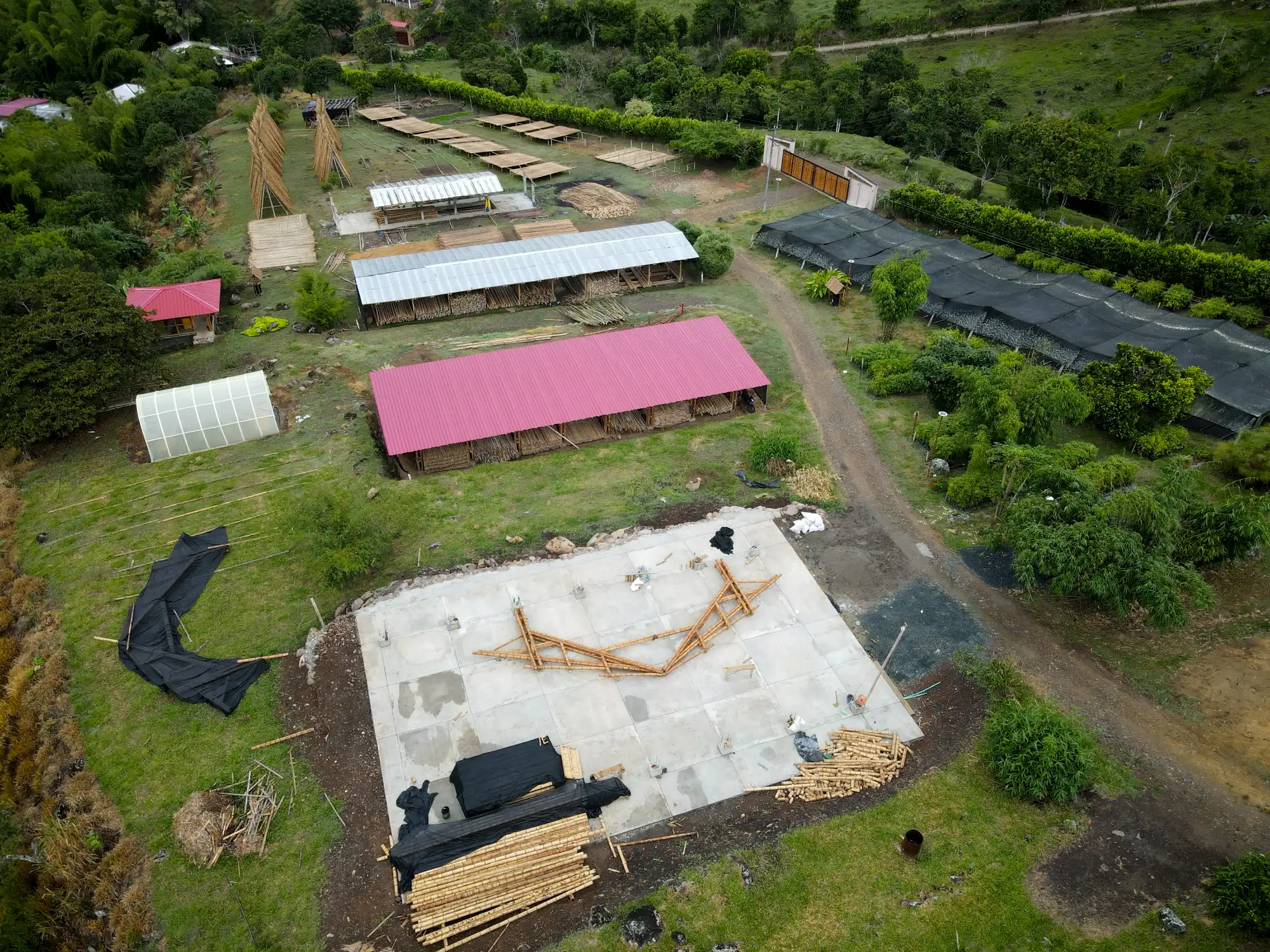 Assembly of prefabricated guadua trusses