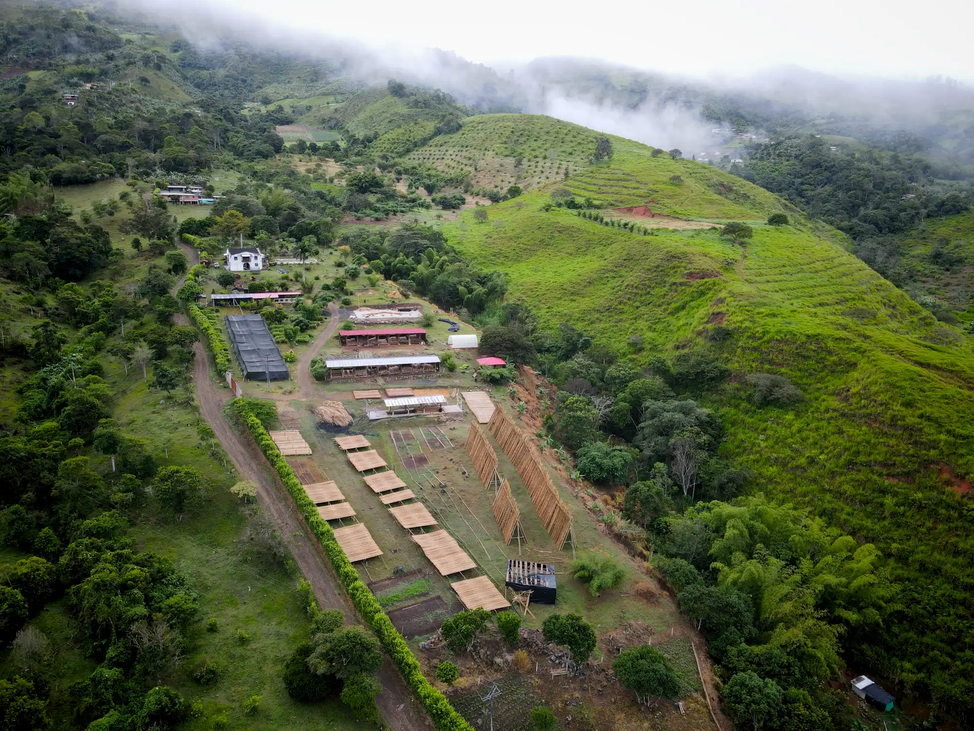 Aerial view of infrastructure and plantation at Hacienda Guadua Bamboo