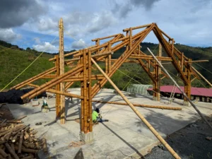 Manual lifting and positioning of bamboo trusses with pulleys and ropes