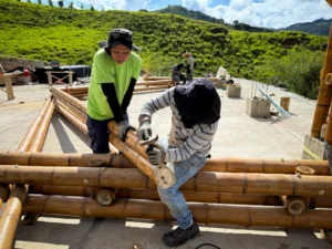 Assembly of prefabricated guadua trusses