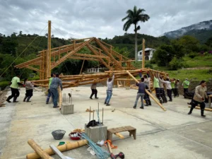 Manual lifting and positioning of bamboo trusses with pulleys and ropes