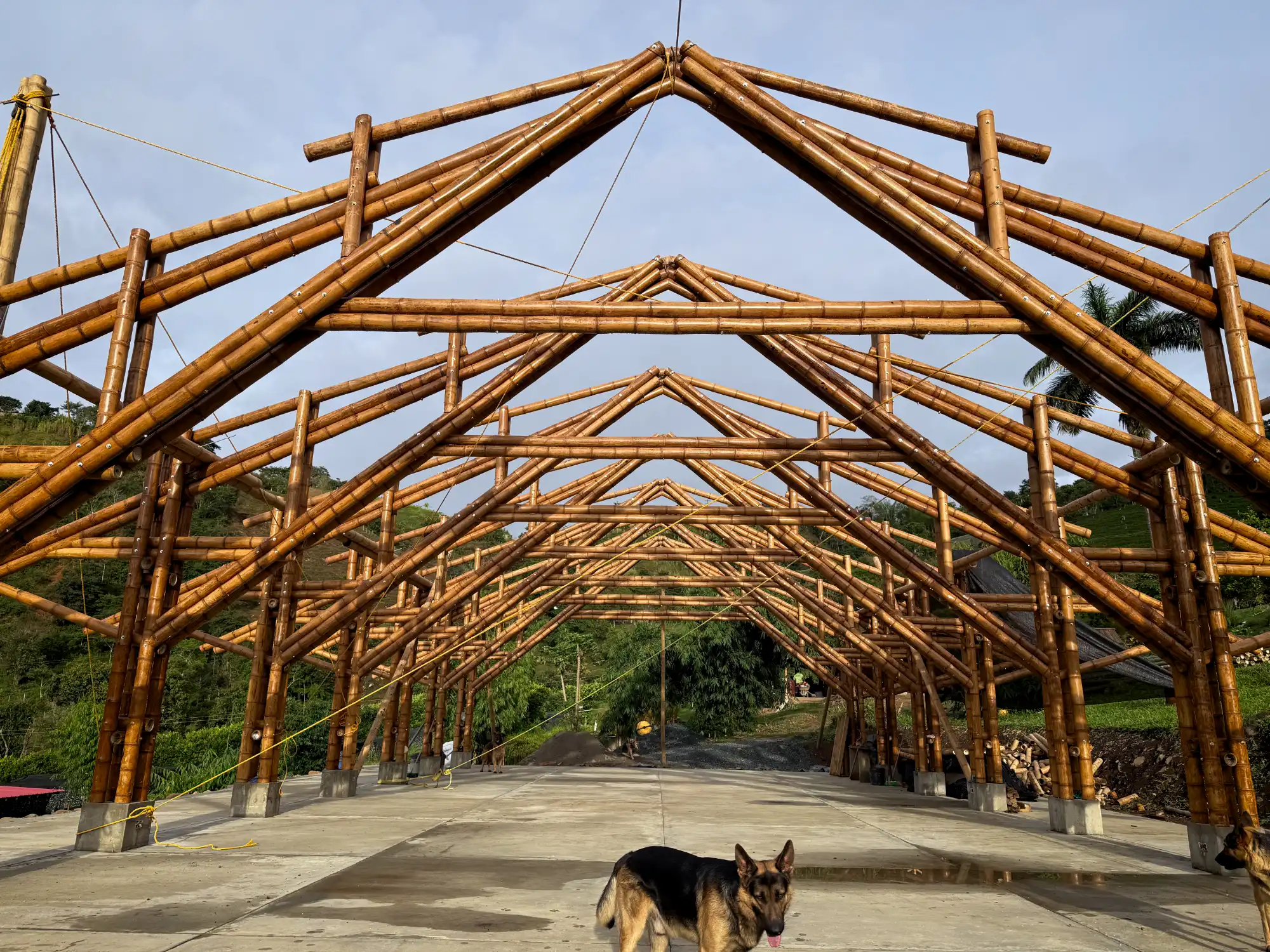 View of the complete (skeleton) structure of the bamboo pavilion