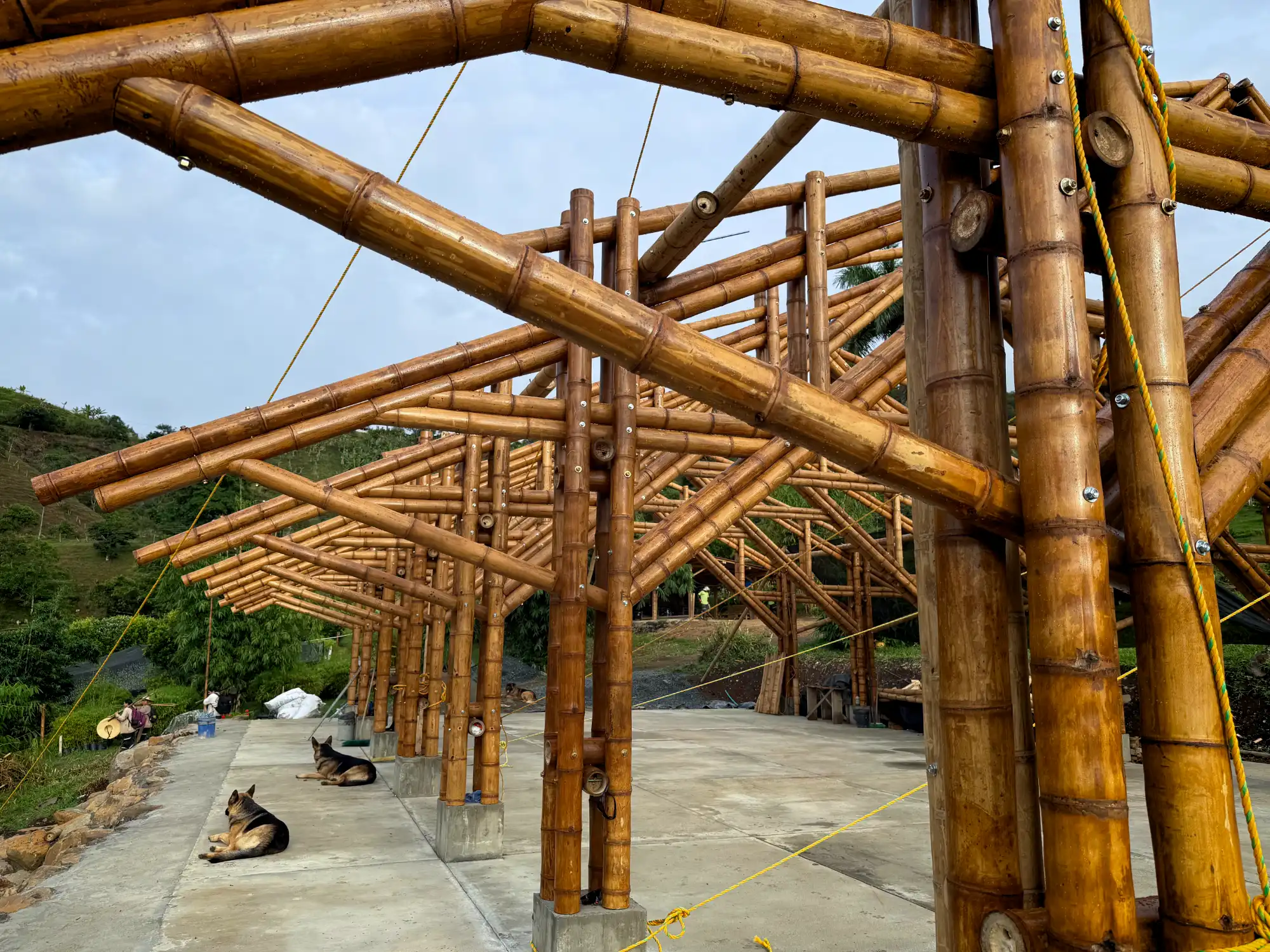 Technical details of joints and connections in bamboo trusses