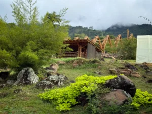 View of the complete (skeleton) structure of the bamboo pavilion