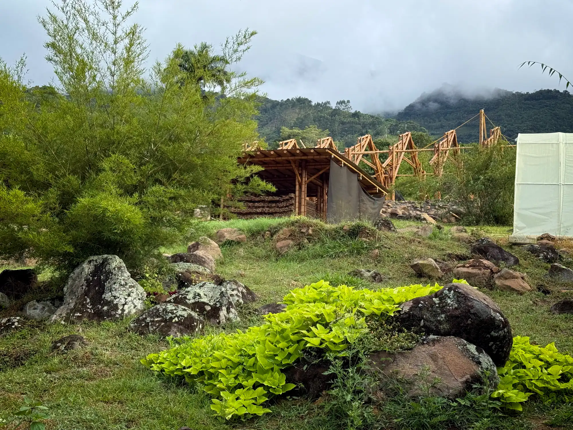 View of the complete (skeleton) structure of the bamboo pavilion