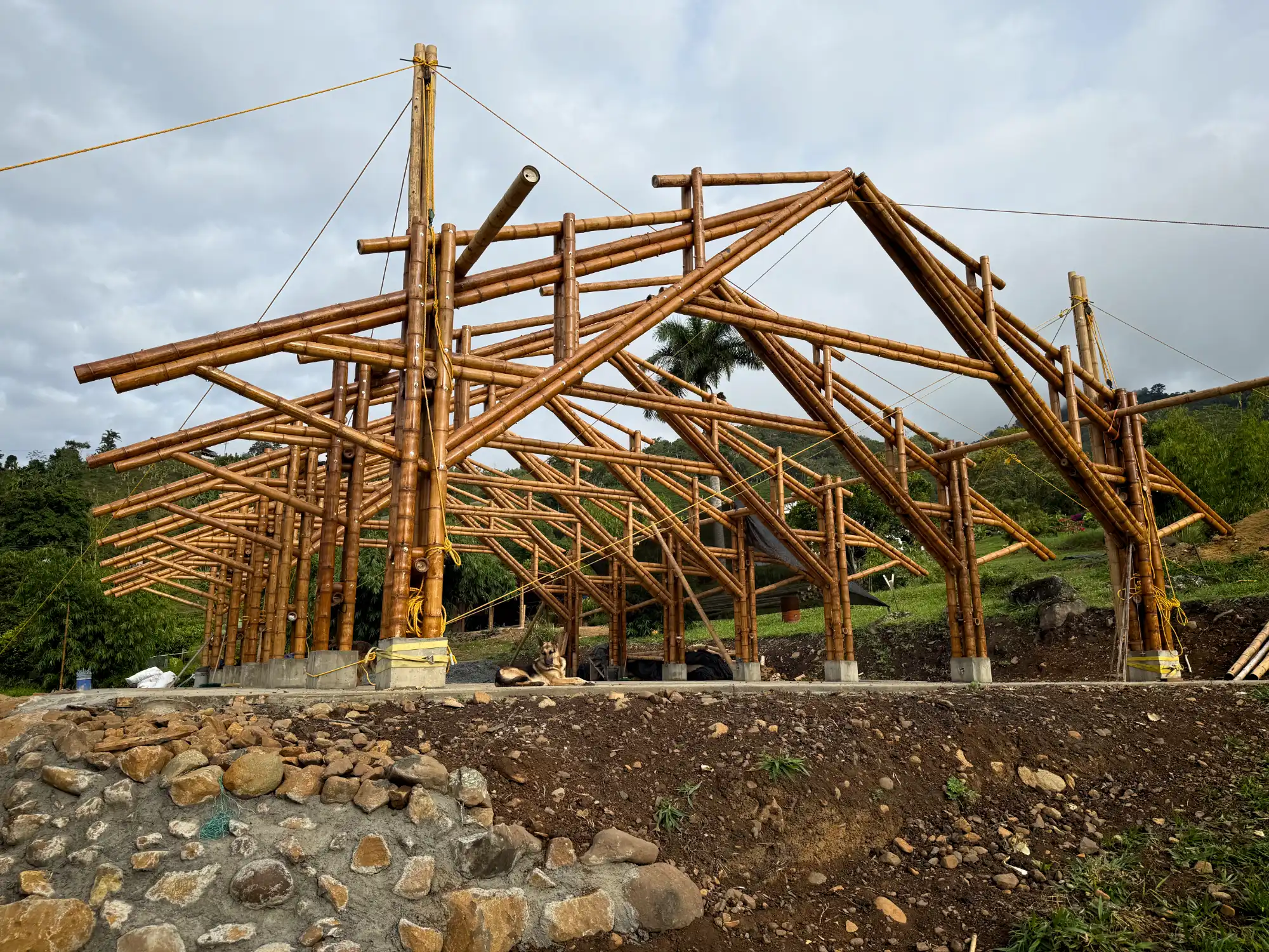 View of the complete (skeleton) structure of the bamboo pavilion