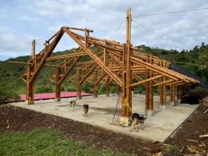 View of the complete (skeleton) structure of the bamboo pavilion