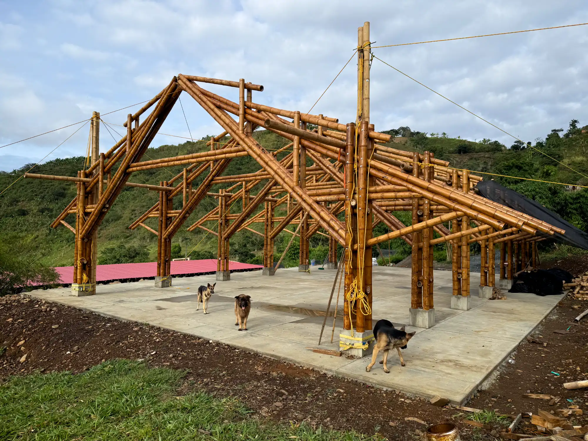 View of the complete (skeleton) structure of the bamboo pavilion