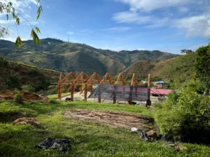 View of the complete (skeleton) structure of the bamboo pavilion