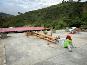 Prefabrication of structural columns for the guadua bamboo pavilion