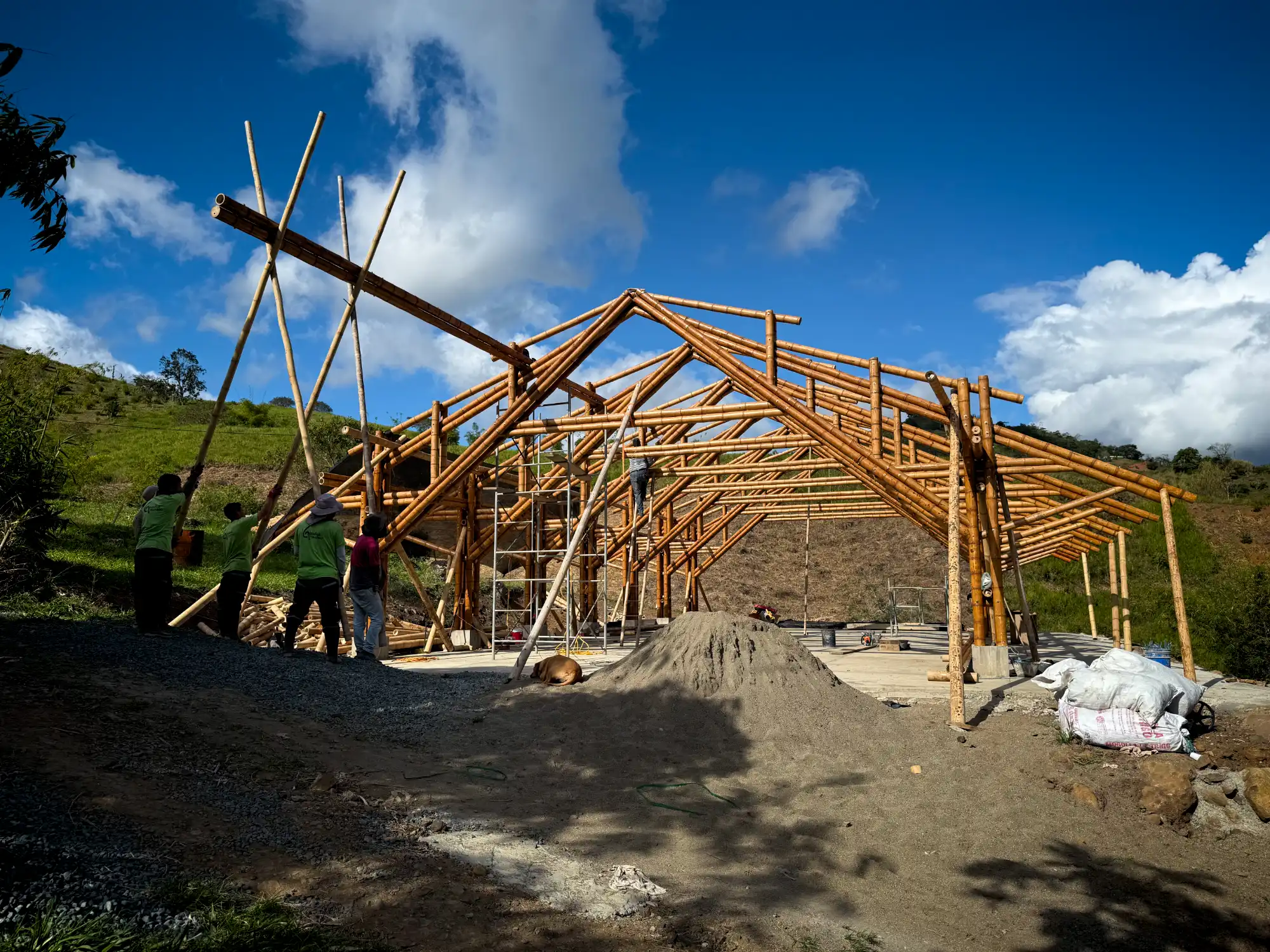 Installation of longitudinal bamboo beams