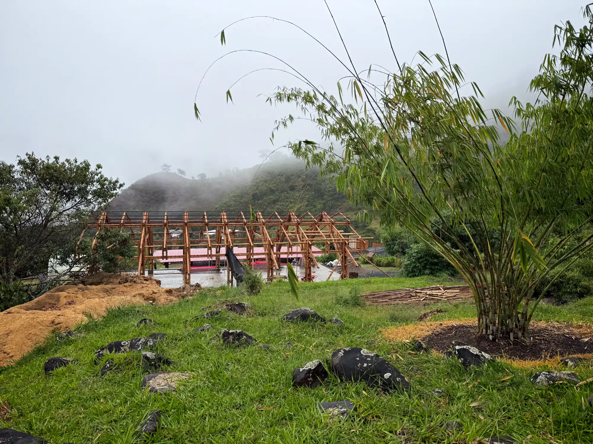 View of the complete skeleton of the bamboo pavilion