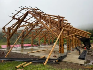 View of the complete skeleton of the bamboo pavilion