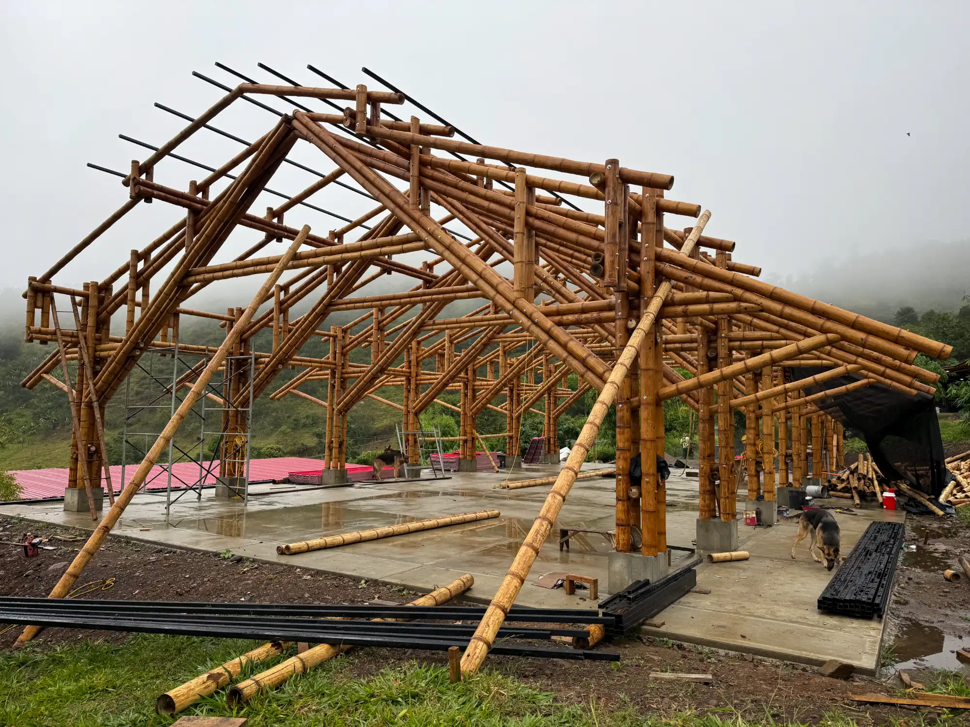 View of the complete skeleton of the bamboo pavilion