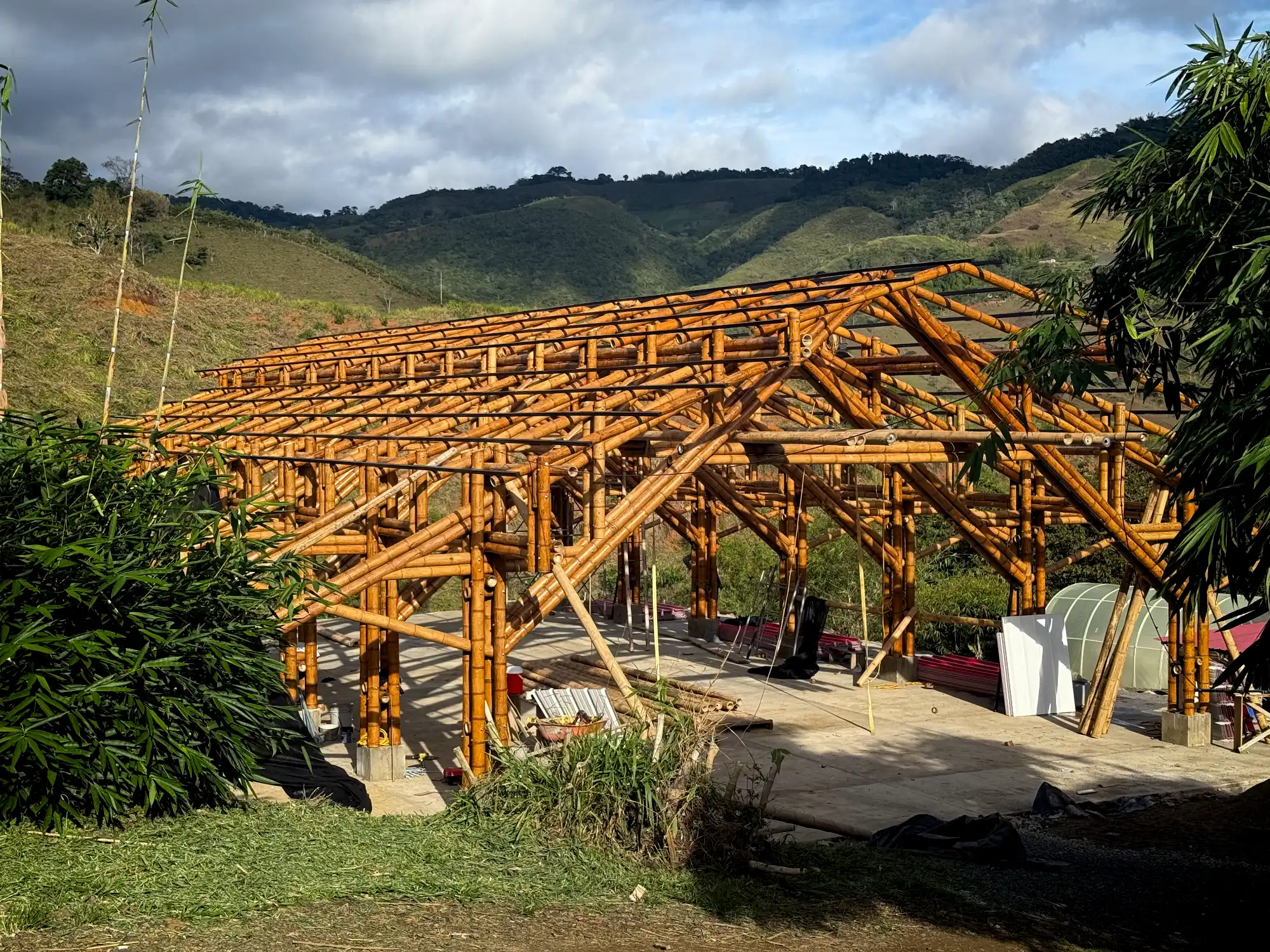 View of the complete skeleton of the bamboo pavilion