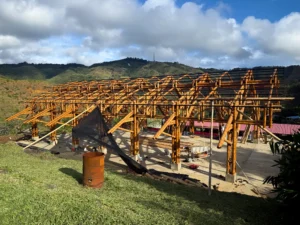 View of the complete skeleton of the bamboo pavilion