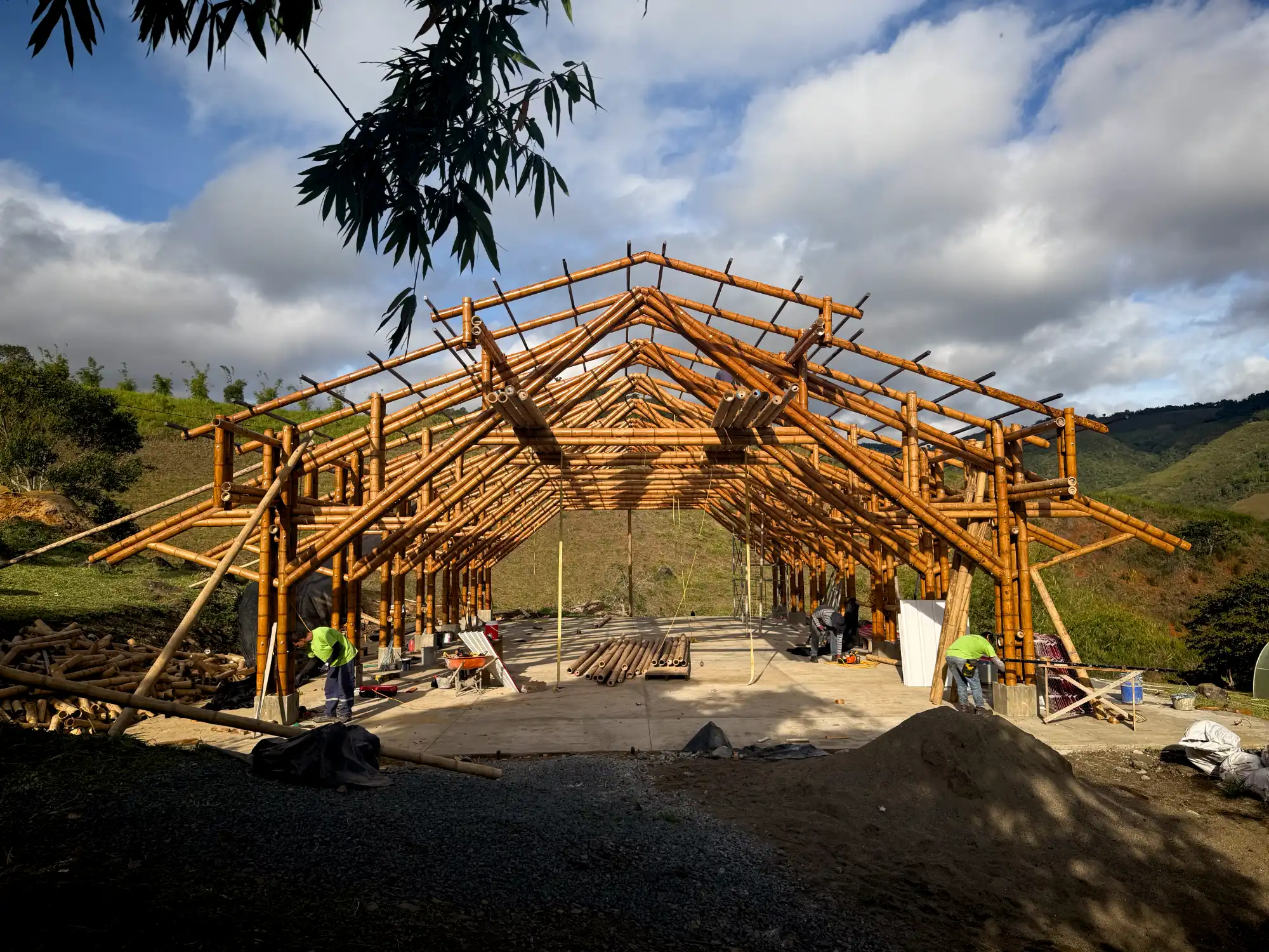 View of the complete skeleton of the bamboo pavilion