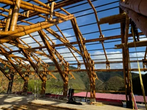 View of the complete skeleton of the bamboo pavilion