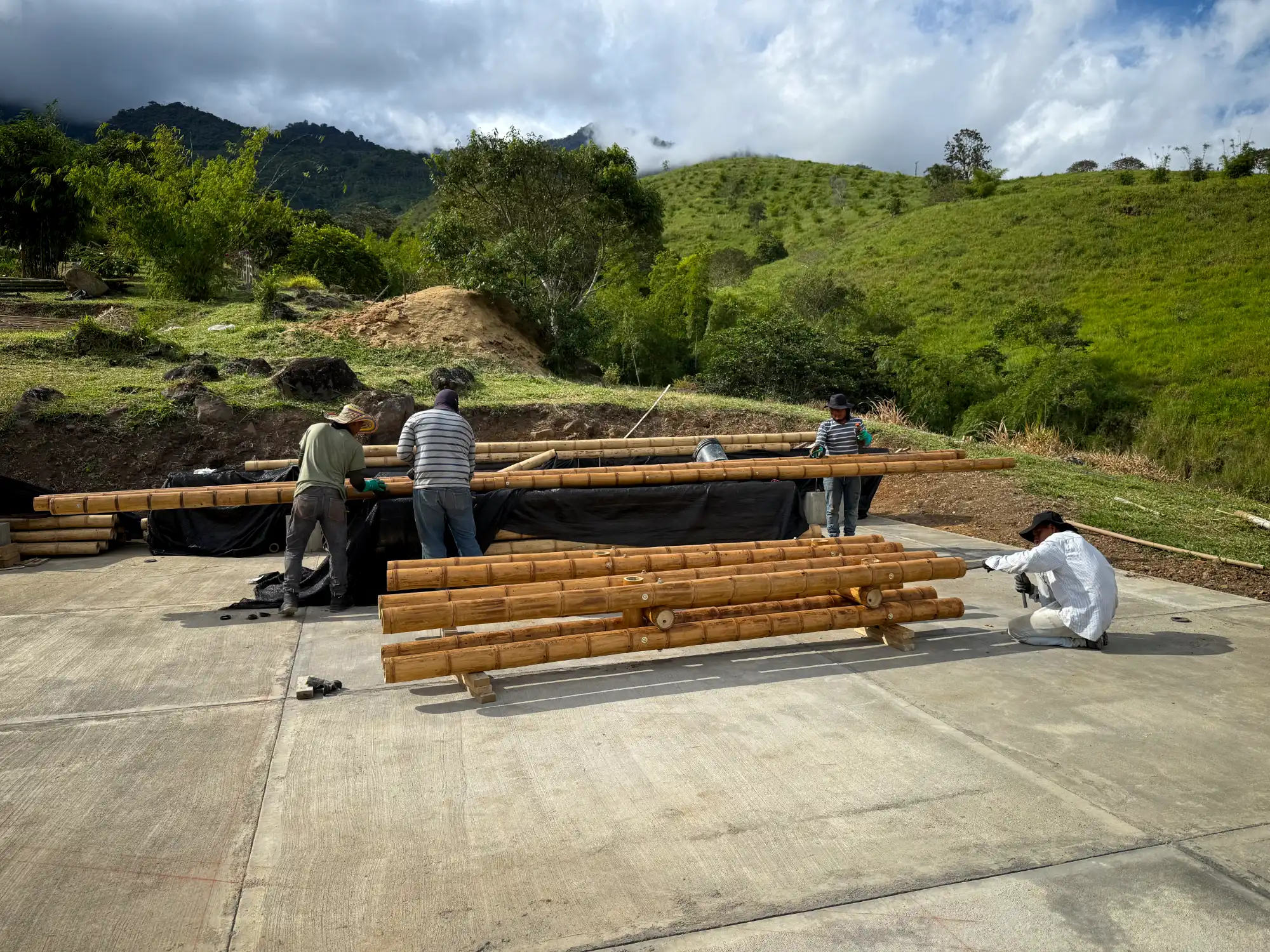 Application of protective outdoor paint on guadua bamboo