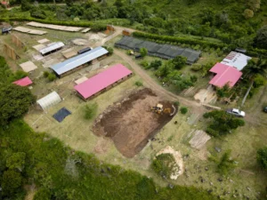 Excavation with backhoe for bamboo pavilion foundation