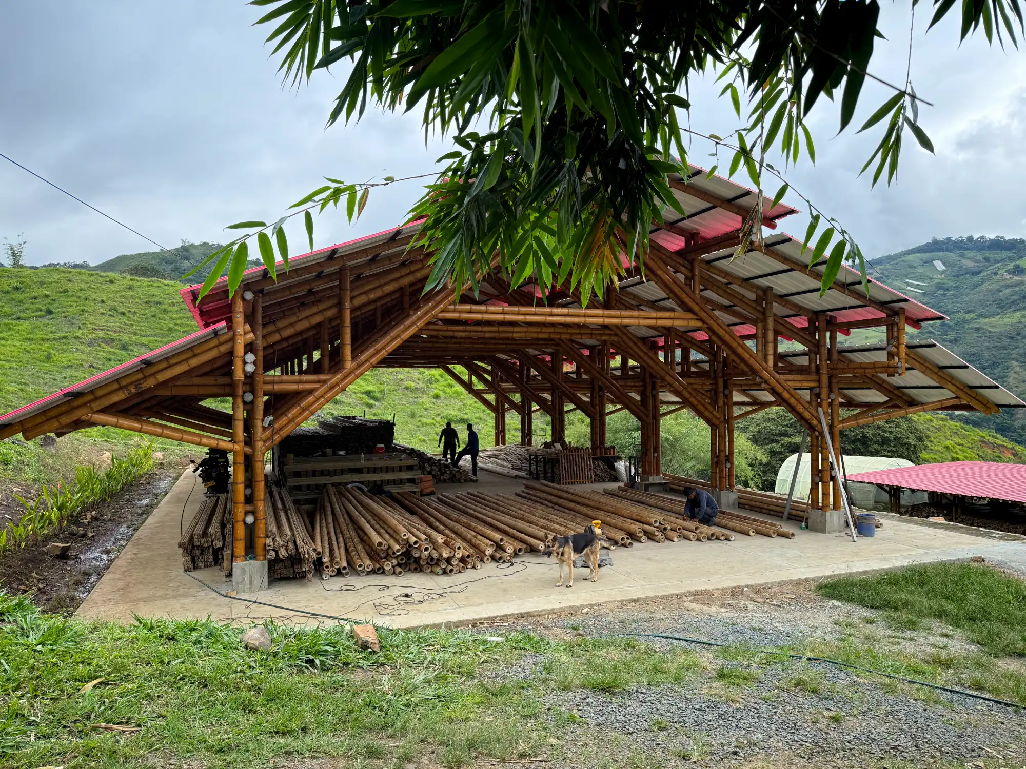 Assembly of prefabricated bamboo structures in the Tres Brisas pavilion