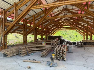 Assembly of prefabricated bamboo structures in the Tres Brisas pavilion