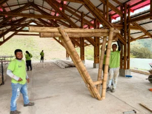 Assembly of prefabricated bamboo structures in the Tres Brisas pavilion