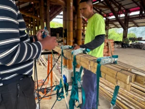 Manufacturing process of high-strength bamboo beams in the Tres Brisas pavilion
