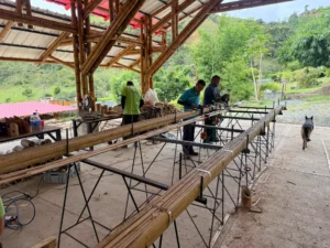 Manufacturing process of high-strength bamboo beams in the Tres Brisas pavilion