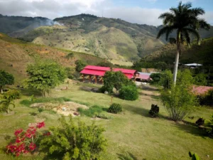 Aerial view of the “Tres Brisas” bamboo pavilion in Colombia