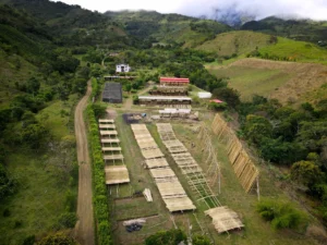 Aerial view of the “Tres Brisas” bamboo pavilion in Colombia