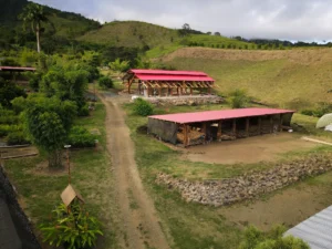 Aerial view of the “Tres Brisas” bamboo pavilion in Colombia
