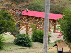 Installation of uPVC roofing panels for the bamboo pavilion