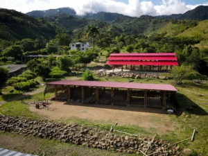 Aerial view of the “Tres Brisas” bamboo pavilion in Colombia