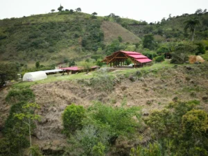 Aerial view of the “Tres Brisas” bamboo pavilion in Colombia