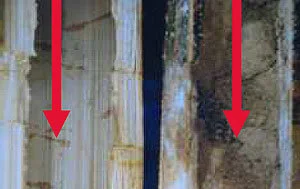 Bamboo Deterioration