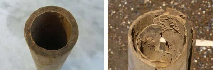 Deteriorated Bamboo Pole Deteriorated Bamboo Pole