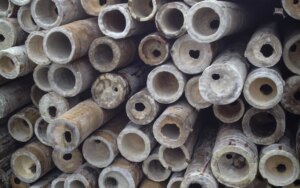 How to Remove Bamboo Mold 5 Surface Mold on Bamboo Poles Photo by: Stéphane Schröder © www.guaduabamboo.com