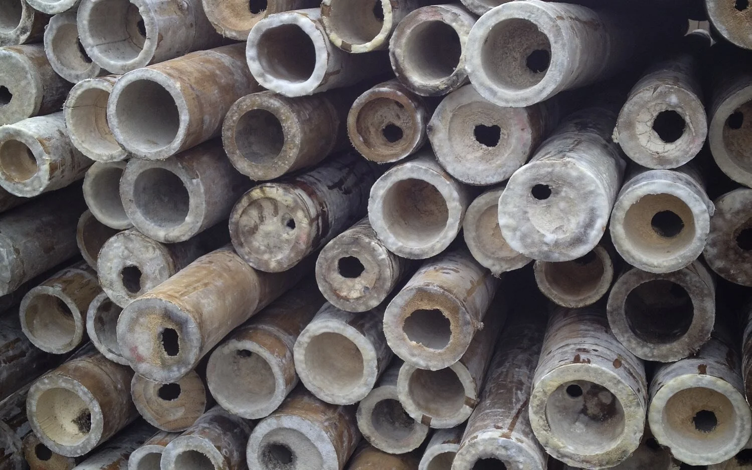 Surface Mold on Bamboo Poles Photo by: Stéphane Schröder © www.guaduabamboo.com